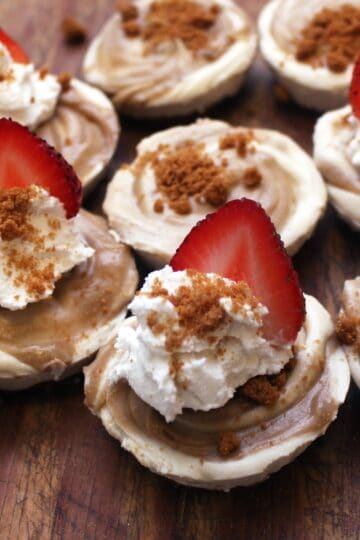 No Bake Vegan Biscoff Cookie Butter Cheesecake Bites