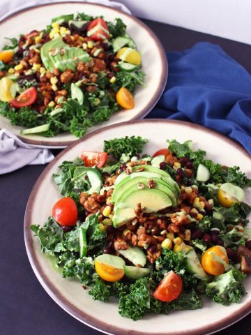 tempeh kale taco salad mexican vegan vegetarian gluten free avocado food blog zenanzaatar