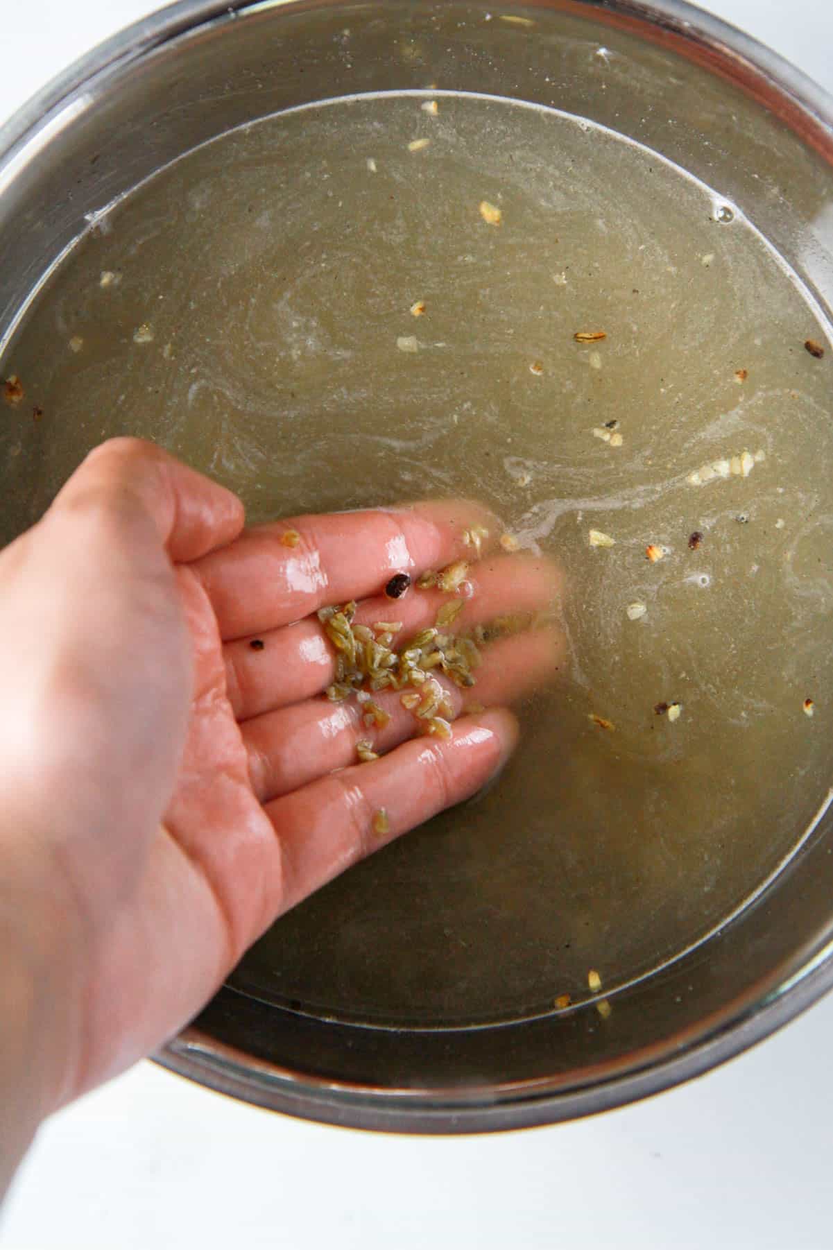 The freekeh in rinsed, with any debris floating to the top removed.