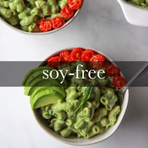 Vegan Soy-Free Recipes