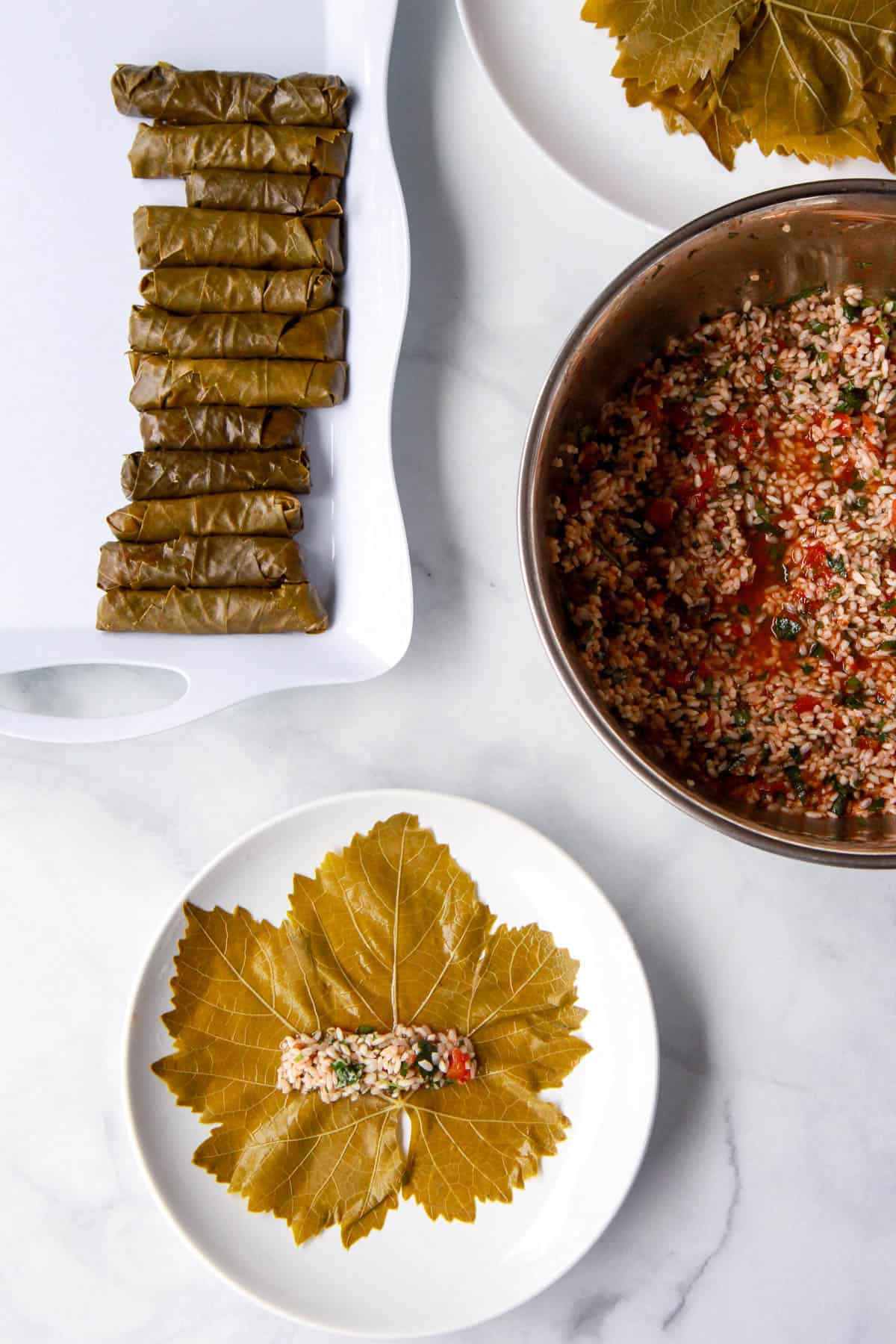 How to fill the grape leave with the vegetarian dolma filling and shape it.